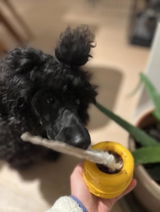 Lilith & Pongo review photo
