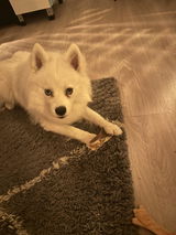 Ria review photo
