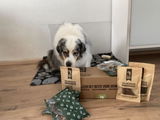 Loes H. review photo