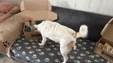 Cindy truyens review photo