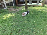 Jessie review photo
