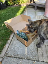 Natascha review photo