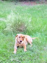 Cindy review photo