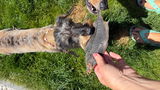 Elke review photo