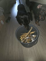 Paco review photo