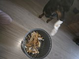 Paco review photo