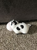 Lily review photo