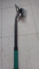Dean review photo