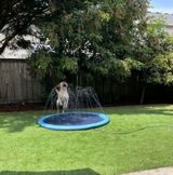 Benny review photo
