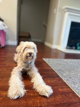Bradley review photo
