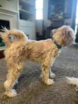 Bradley review photo