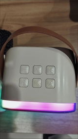 Sanie review photo