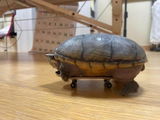 Morton review photo