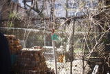 Osea review photo