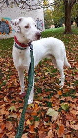 Mackenzie review photo