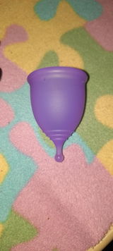 Winifred review photo