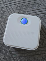Sasa review photo