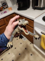 Gerald review photo