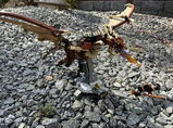 Cliff review photo