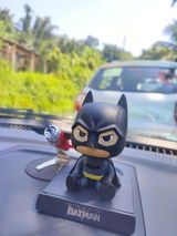 Leo review photo