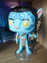Nicholas review photo
