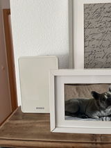 Carlos Téllez review photo