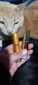 Gisel review photo