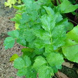 Annegret S. review photo
