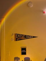 Easy Tiger Felt Pennant