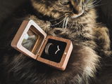 Etsy customer review photo