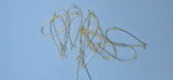 Donna M. review photo