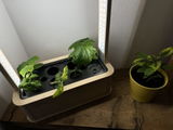 Annegret Schorrig review photo