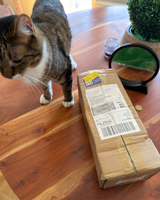 Soraya review photo