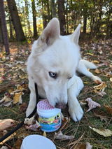 Ice review photo