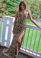 VaneShine review photo