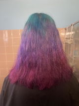 A.P. review photo