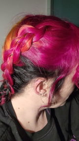 E.C. review photo