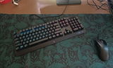 L. review photo