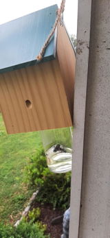 Guest review photo