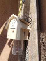 Adler review photo