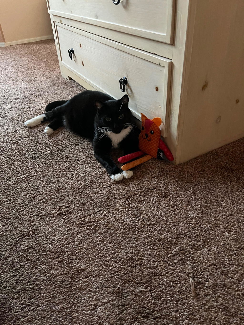 Large Doll Catnip Toy