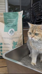 Goldie🐱and Meowmy review photo