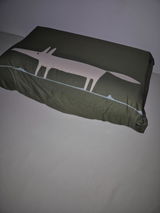 Andy Claeys review photo