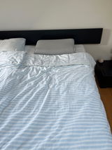 S. Hartog review photo