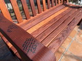 Melinda Tobin review photo