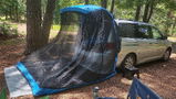 Lila_00 review photo