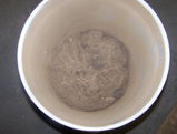 Ivy review photo