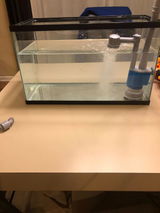 Samuel Adams review photo