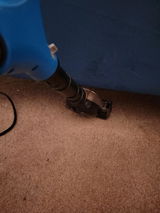 Whitney French review photo