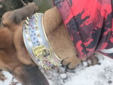 Eric review photo